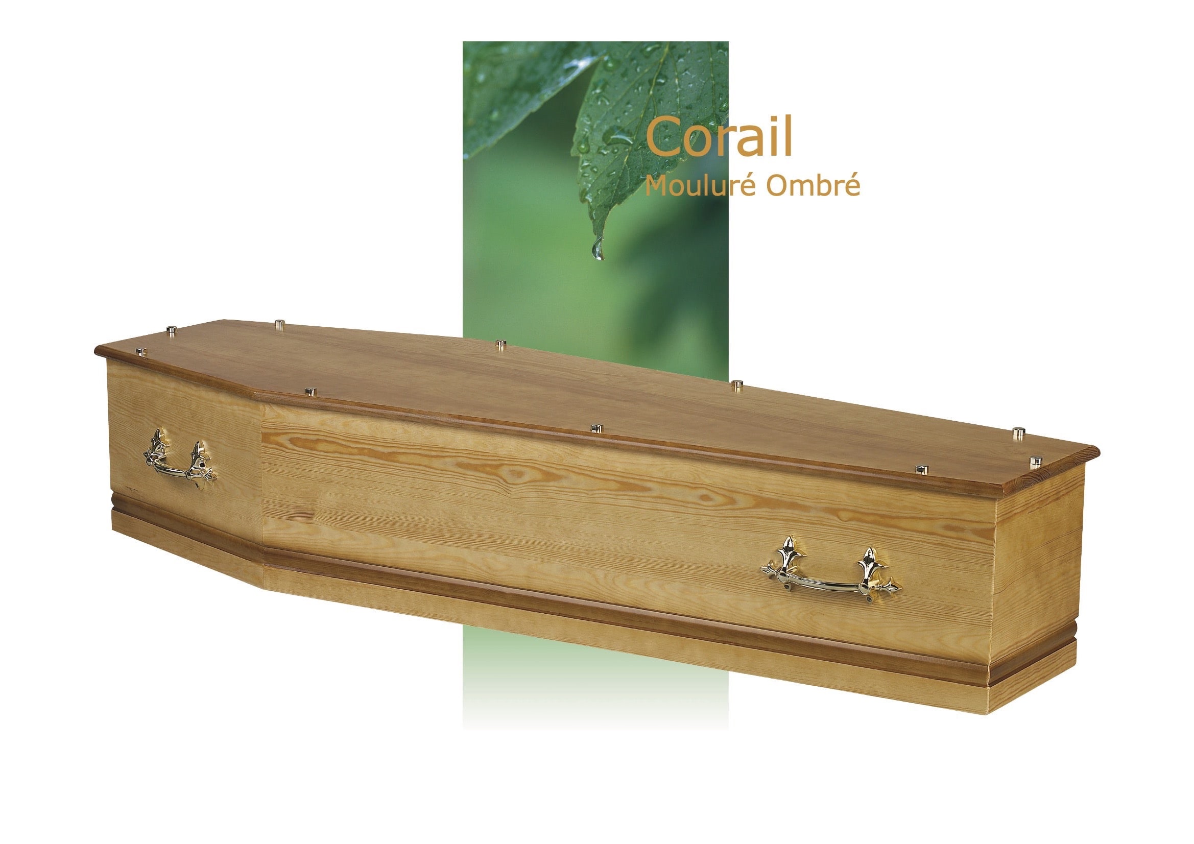 Cercueil Crémation Coreil