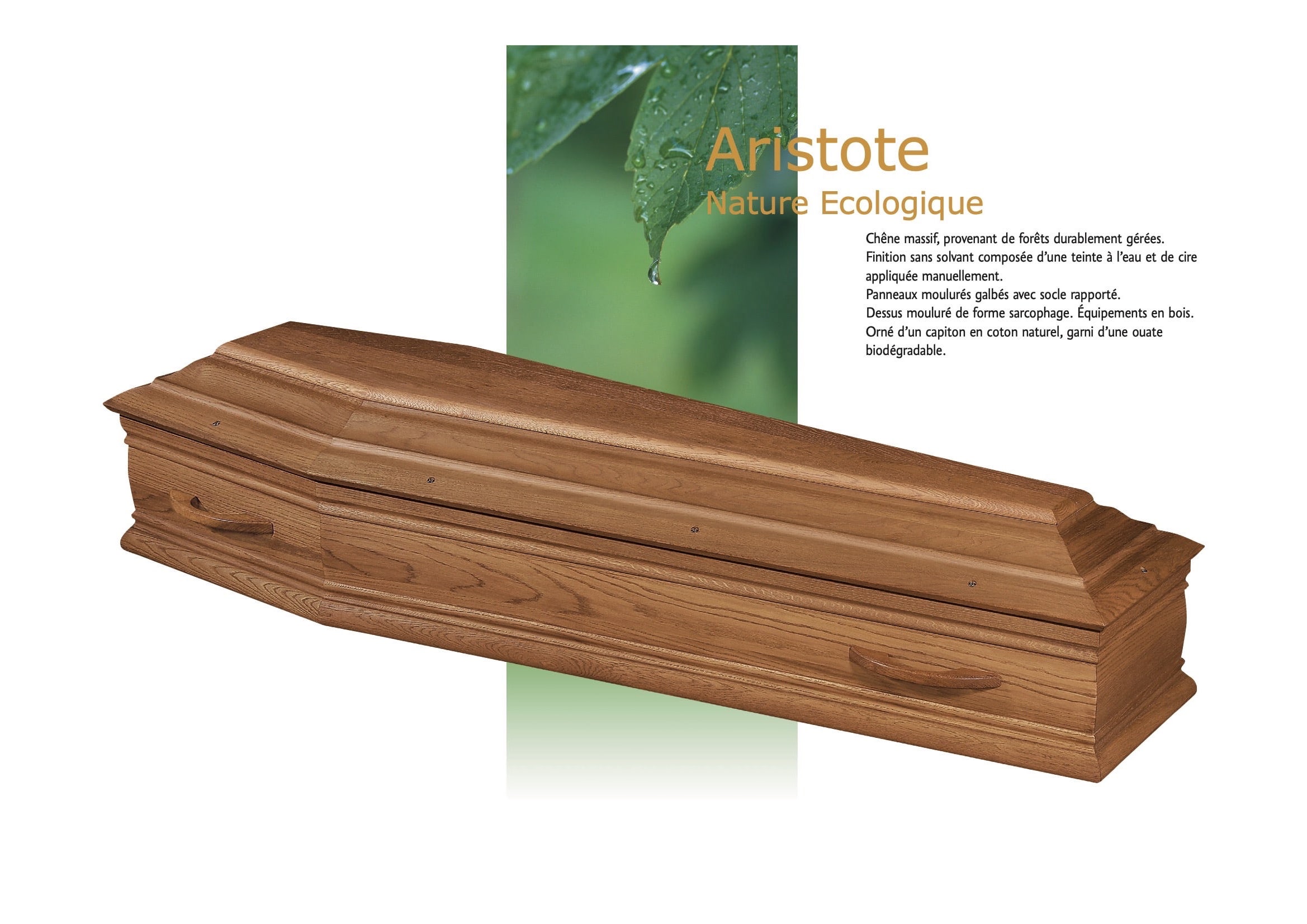 Cercueil inhumation Aristote