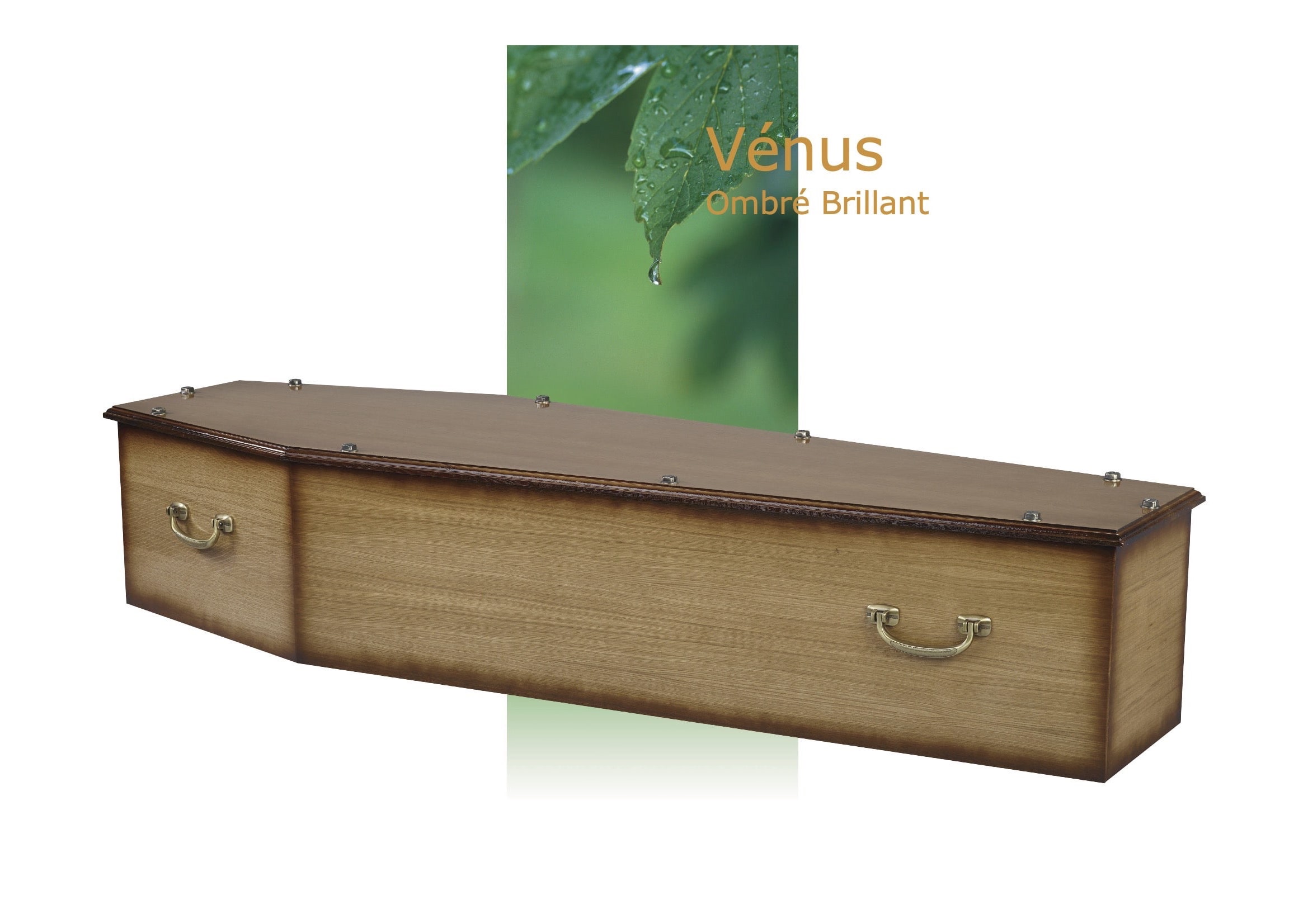 Cercueil inhumation Vénus